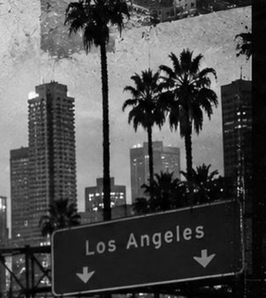 A Los Angeles freeway sign under palm trees